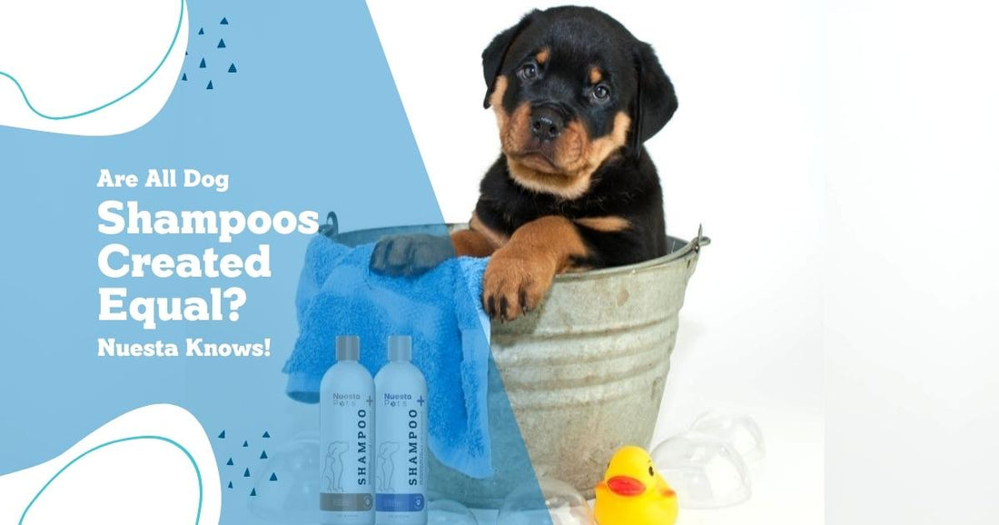 Dog Shampoo That Smells Good