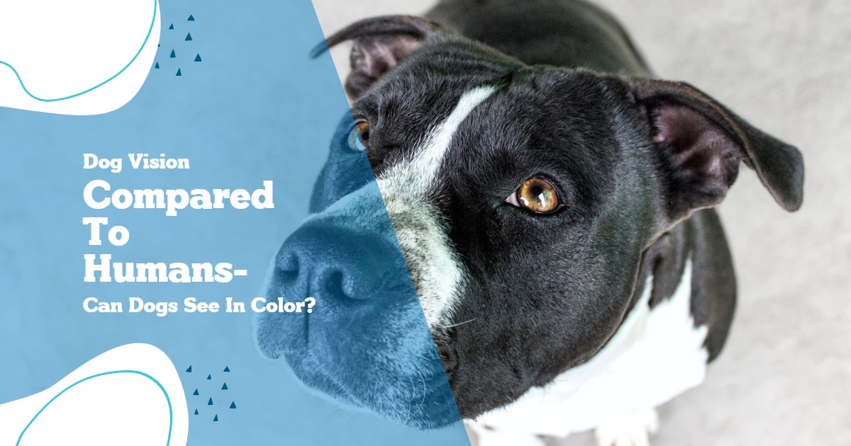 nuestapets.com