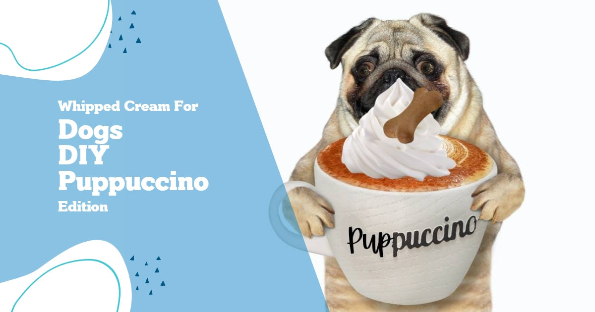 Whipped Cream for Dogs DIY Puppuccino Edition Nuesta Pets