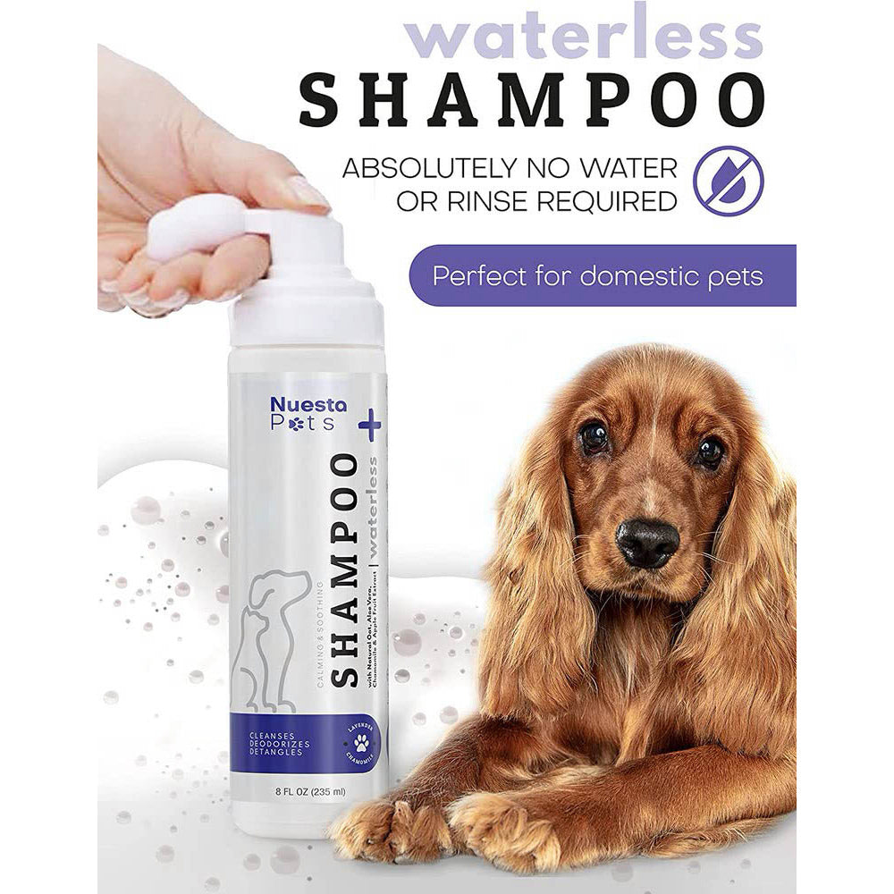 Waterless Lavender Shampoo for Dogs
