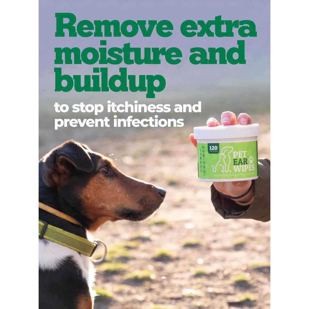 Pet Ear Wipes for Dogs & Puppies