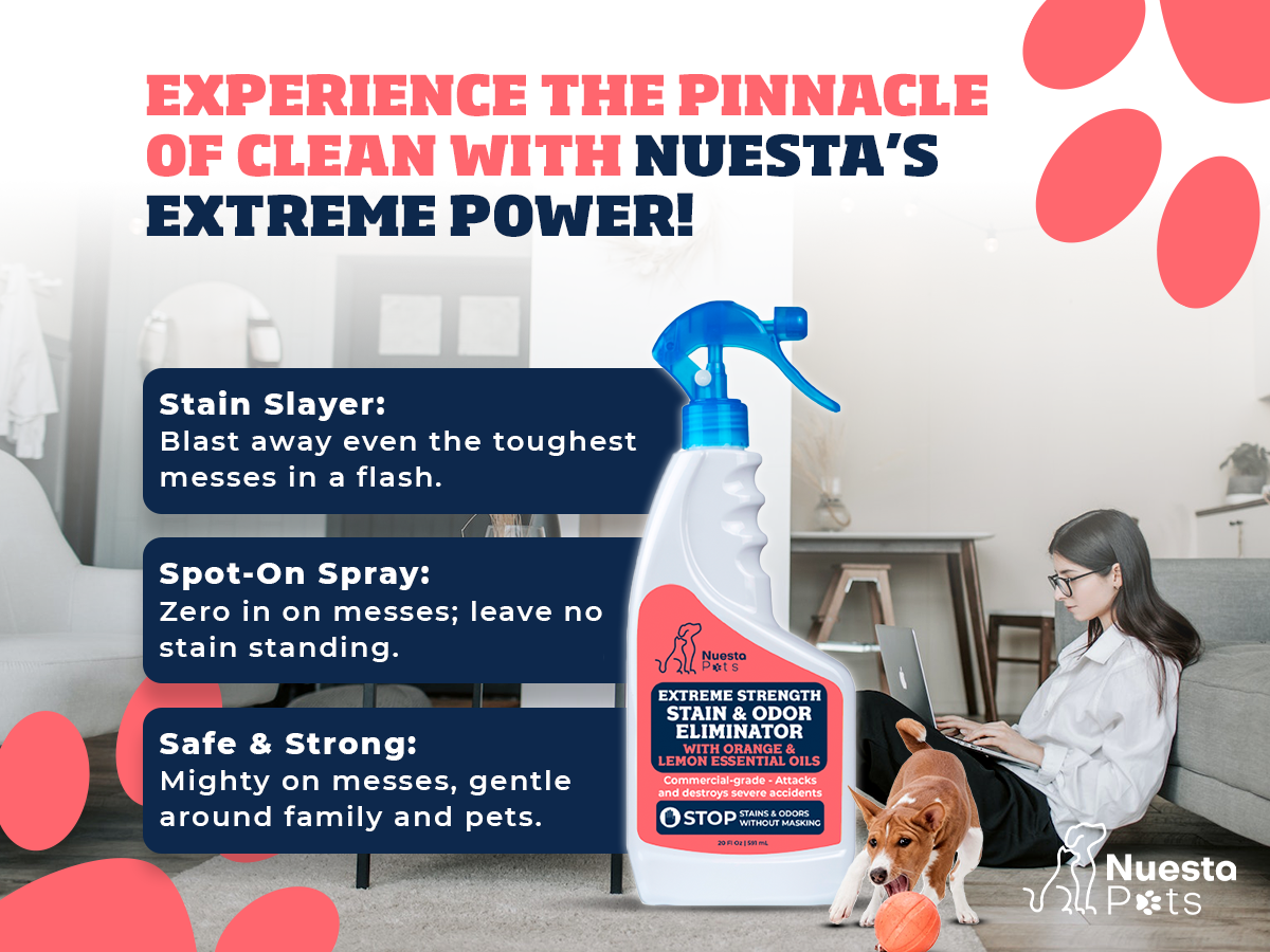 Extreme Strength Stain & Odor Remover