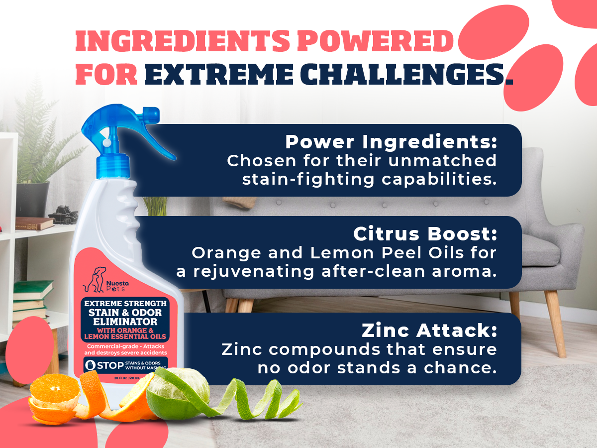 Extreme Strength Stain & Odor Remover