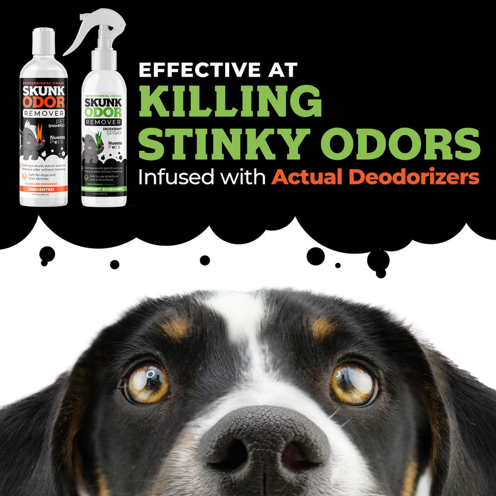 Skunk Odor Remover by Nuesta Pets Activated Charcoal Shampoo & Spray