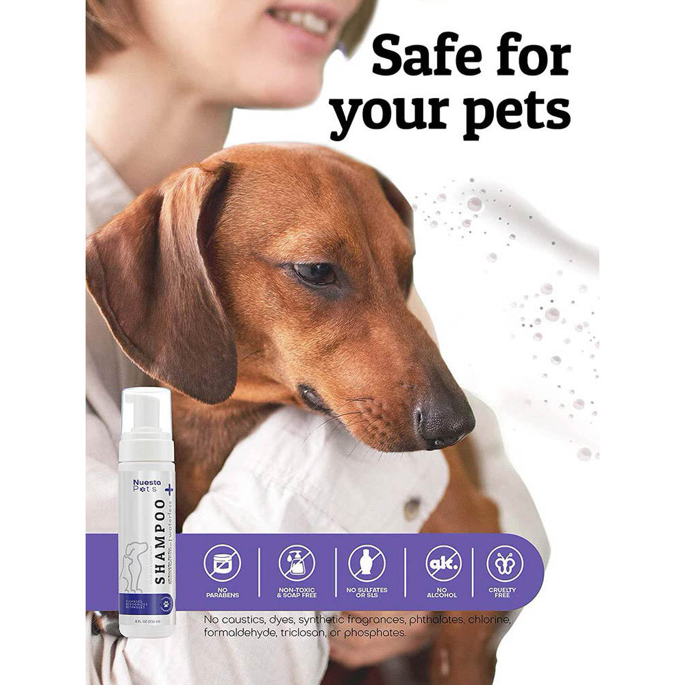 Waterless Lavender Shampoo for Dogs