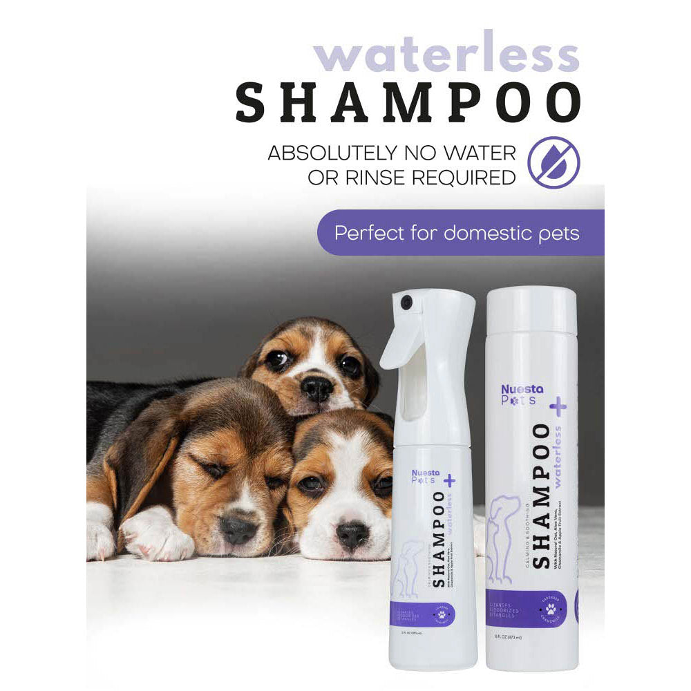 Waterless Lavender Spray-On Dog Shampoo