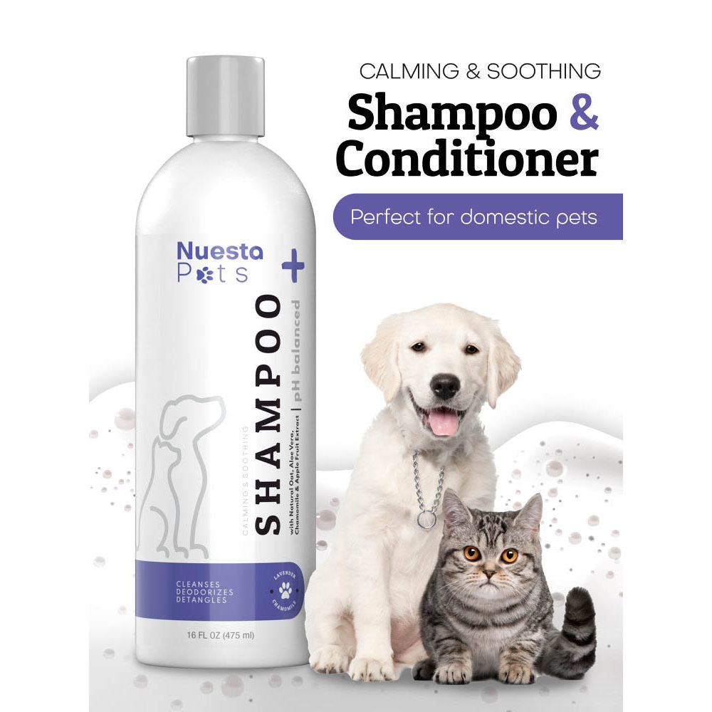 Lavender Pet Shampoo for Dogs