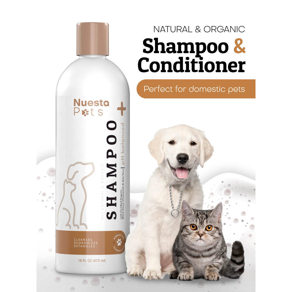 Hypoallergenic Oat Pet Shampoo for Dogs & Cats