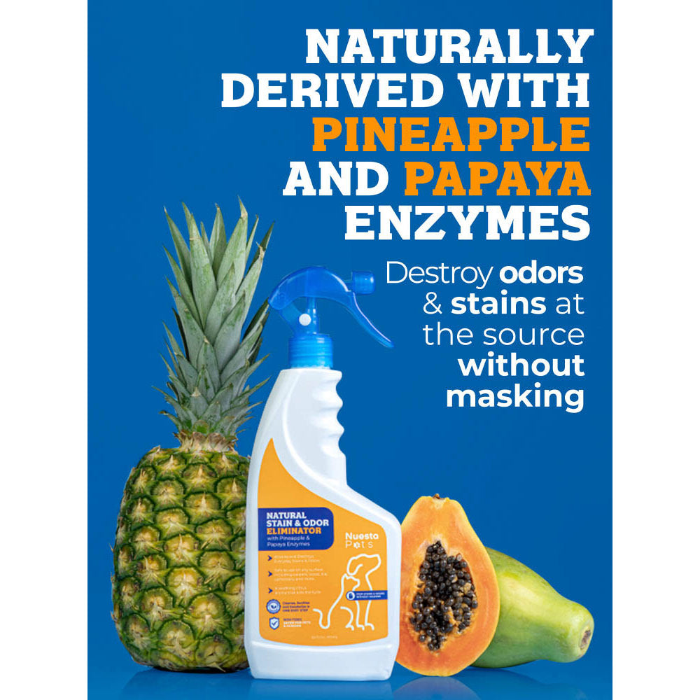 Pineapple & Papaya Enzyme Pet Stain & Odor Eliminator
