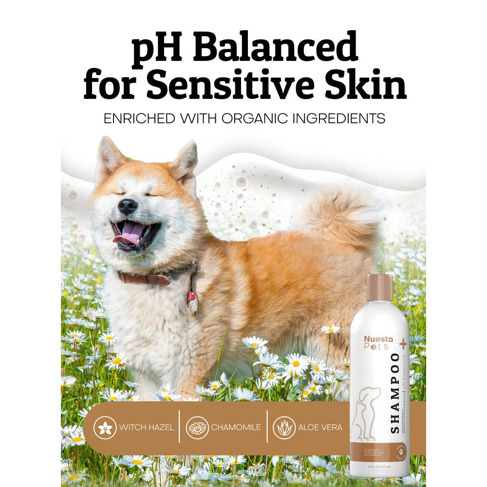 Best pH Balanced Unscented Pet Shampoo for Dogs and Cats | Nuesta Pets