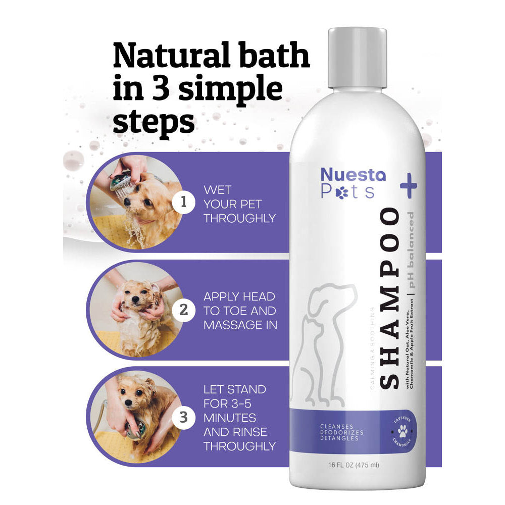 Lavender Pet Shampoo Best Dog Shampoo for Healthy Coat Nuesta Pets