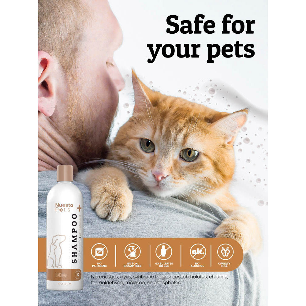 cat safe shampoo